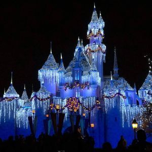 Meet your Posher, Darla